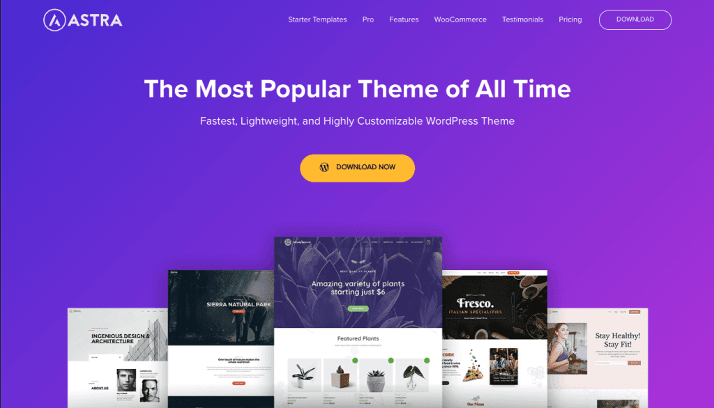 wordpress astra theme