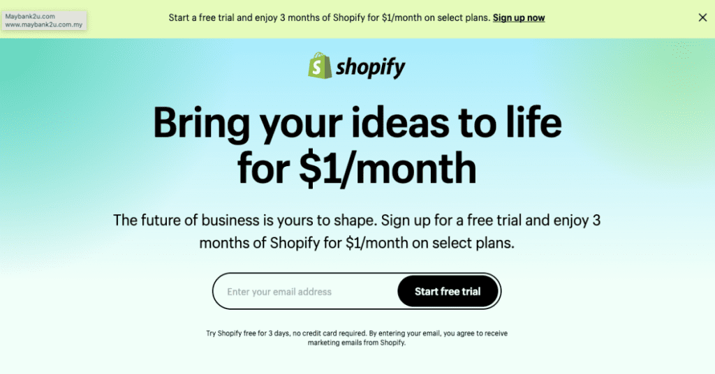 shopify e-commerce store