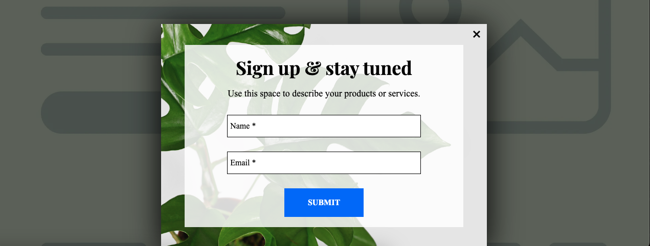 How To Create A Popup That Converts (in 5 Easy Steps)