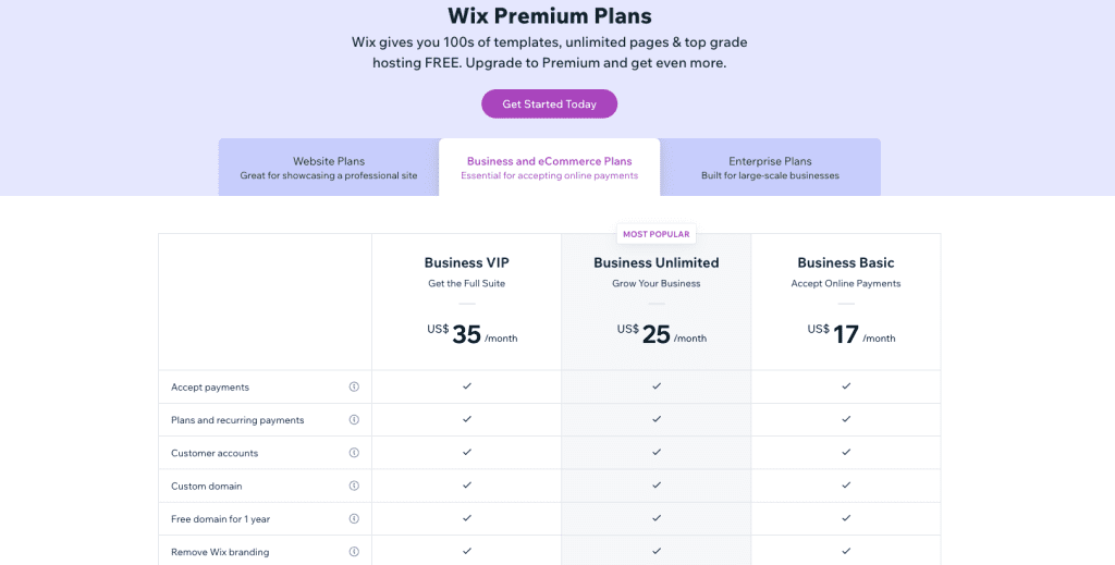 Wix Premium plan