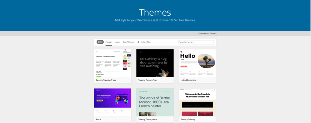 WordPress themes