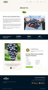 Website Development portfolio